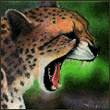 Avatar de urexy