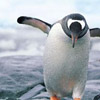 Avatar de unarmedcluster3