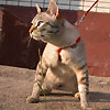 Avatar de yjolukotu