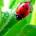 Avatar de ubezifig